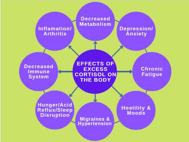 Cortisol Chart